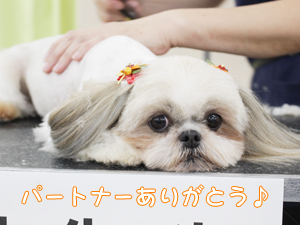 ２年生に向けて！先生の試技会♪②